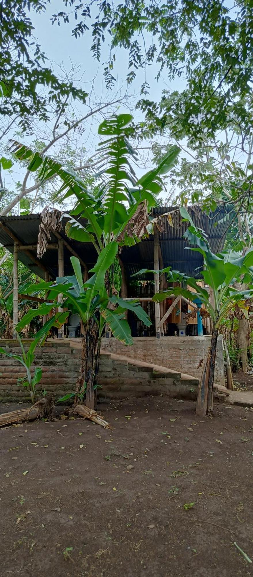 La Sirenita - Ometepe Hotel Altagracia Bagian luar foto